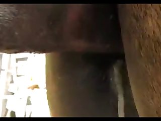 Madonna Vs Jack Sc 01