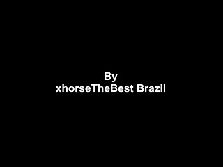 Donkeys Dena's Farm 01