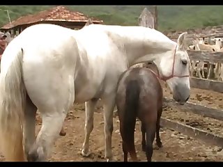 Lupe Vs Stallion Scene 2