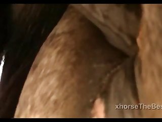 Lupe Vs Stallion Scene 2