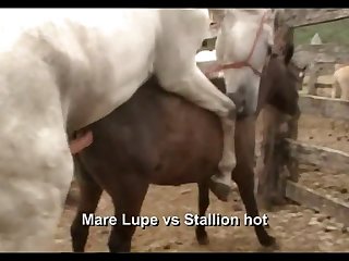 Lupe Vs Stallion Scene 2