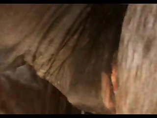 Lupe Vs Stallion Scene 2