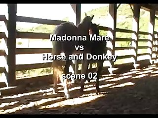 Light Madonna Ass And Stud 2
