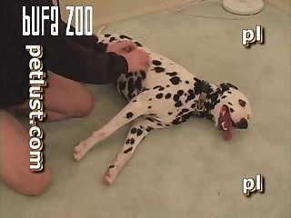 P117 Dalmatian Quickie