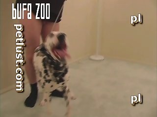 P117 Dalmatian Quickie