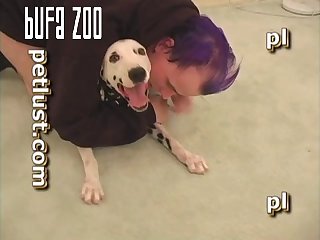 P117 Dalmatian Quickie