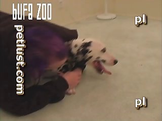 P117 Dalmatian Quickie