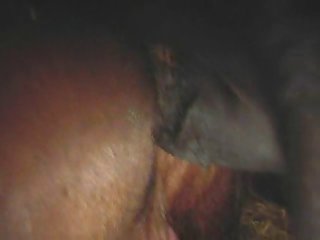 Ponymating
