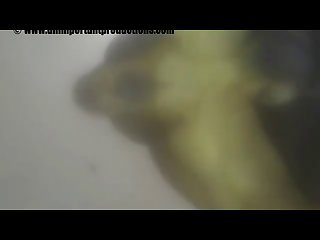 Slutty Wife Dog Porn