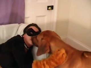 Zoophilie Video Verbot