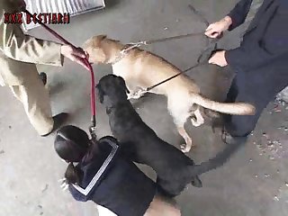 Girl Pee On Dog Porn
