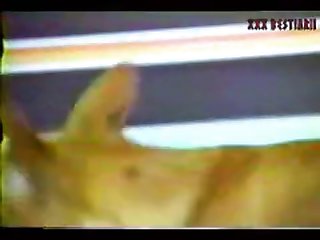 Animal Sex Video Download Hd
