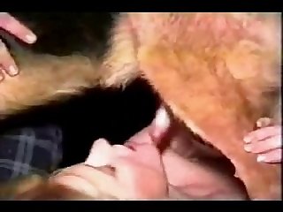 Xhamster Animal Sex Video