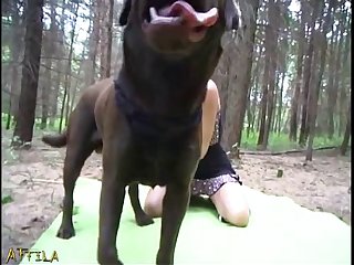 Cumshot Dog Porn