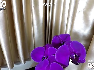 Slit City Dog Porn