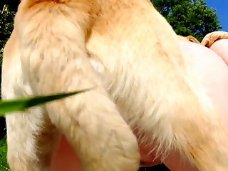 Mexican Girl Dog Porn