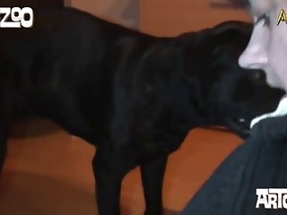 Under Dog Porn
