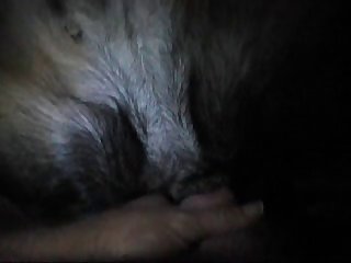 Sofia Baddie Dog Porn