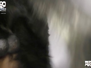 Dog Porn Pic