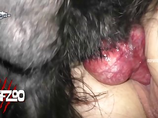 Dog Porn Pic