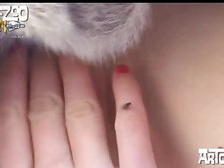 Petplay Dog Porn