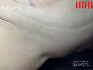 Beagle Dog Porn