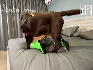 Tik Dog Porn