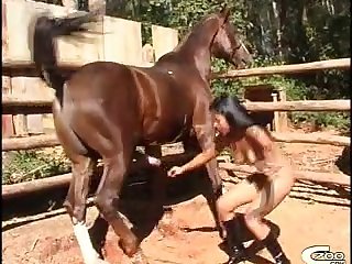 Indonesian Zoo Porn