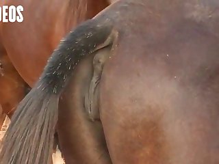 His Cock Was Bigger Than My Husbands