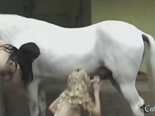 Voyeur Zoo Porn