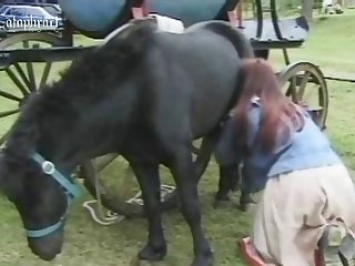 Rashmika Animal Sex Scene