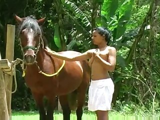 Emily's Diary Zoo Porn