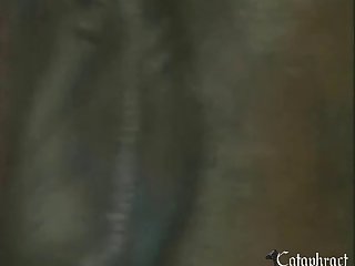 Farm Horse Zoo Porn