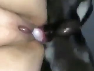 Girl Swallos Horse Cum