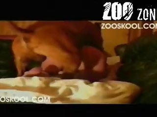 Novinha Metendo Com Cachorro