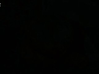 Zoofilia Xxx