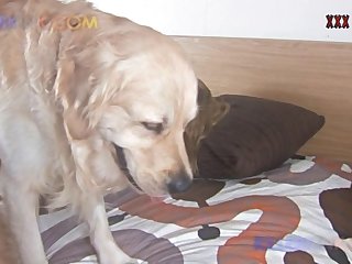 獣姦 動画