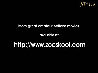Filmes Porno Com Animais