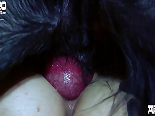 Novinha Dando Pro Cachorro