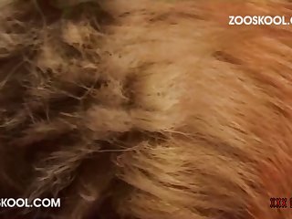 Égua Zoofilia