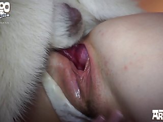 Porno Com Animais