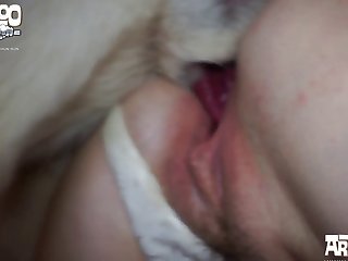 Porno Com Animais
