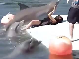 Porno De Peces