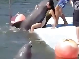 Porno De Peces