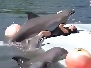 Porno De Peces