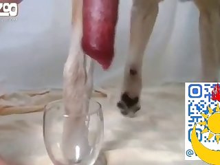Порно З Рибою Compilation