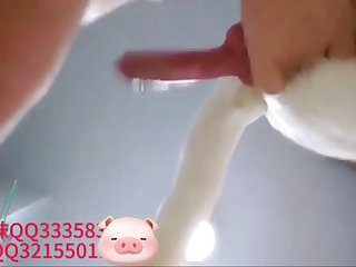 Sex S Kočkou