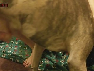 Fucking Dog Pussy
