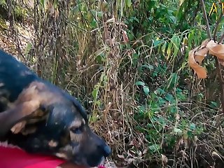 Sex Doggy Gái Xinh