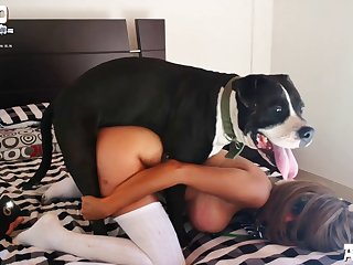 Dog Xxx Com